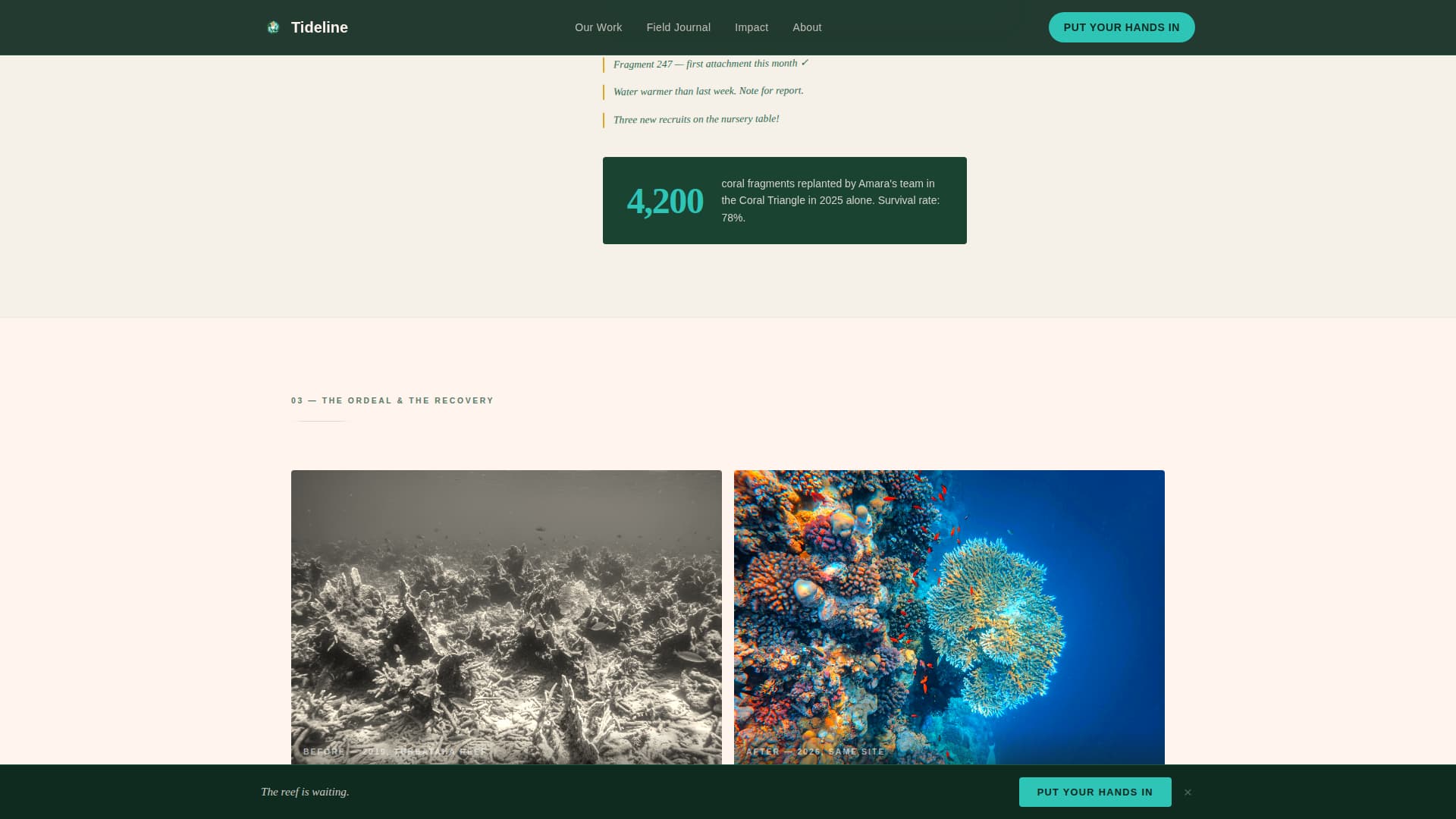 Tideline - Immersive Oceanconservation Landing Page Template