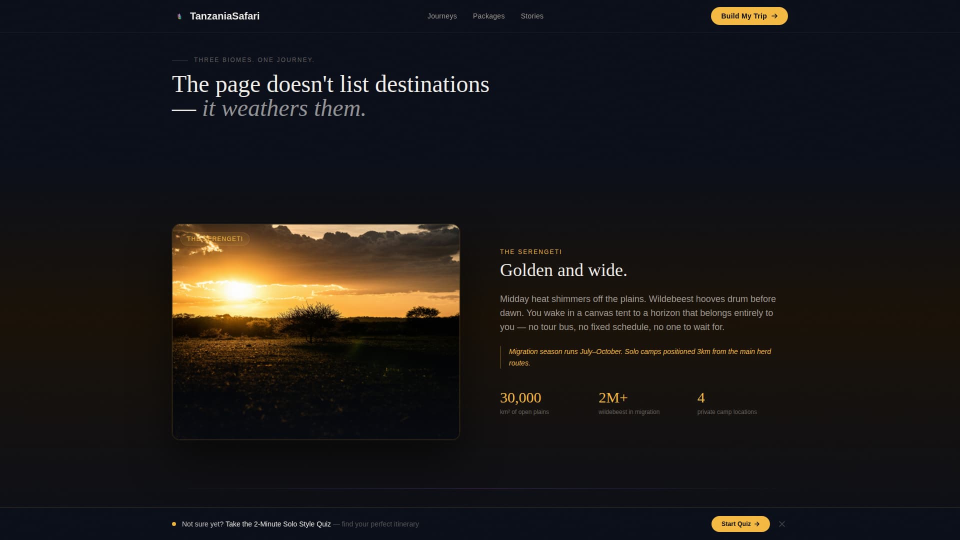 Tanzania Travel Pricing Website Template