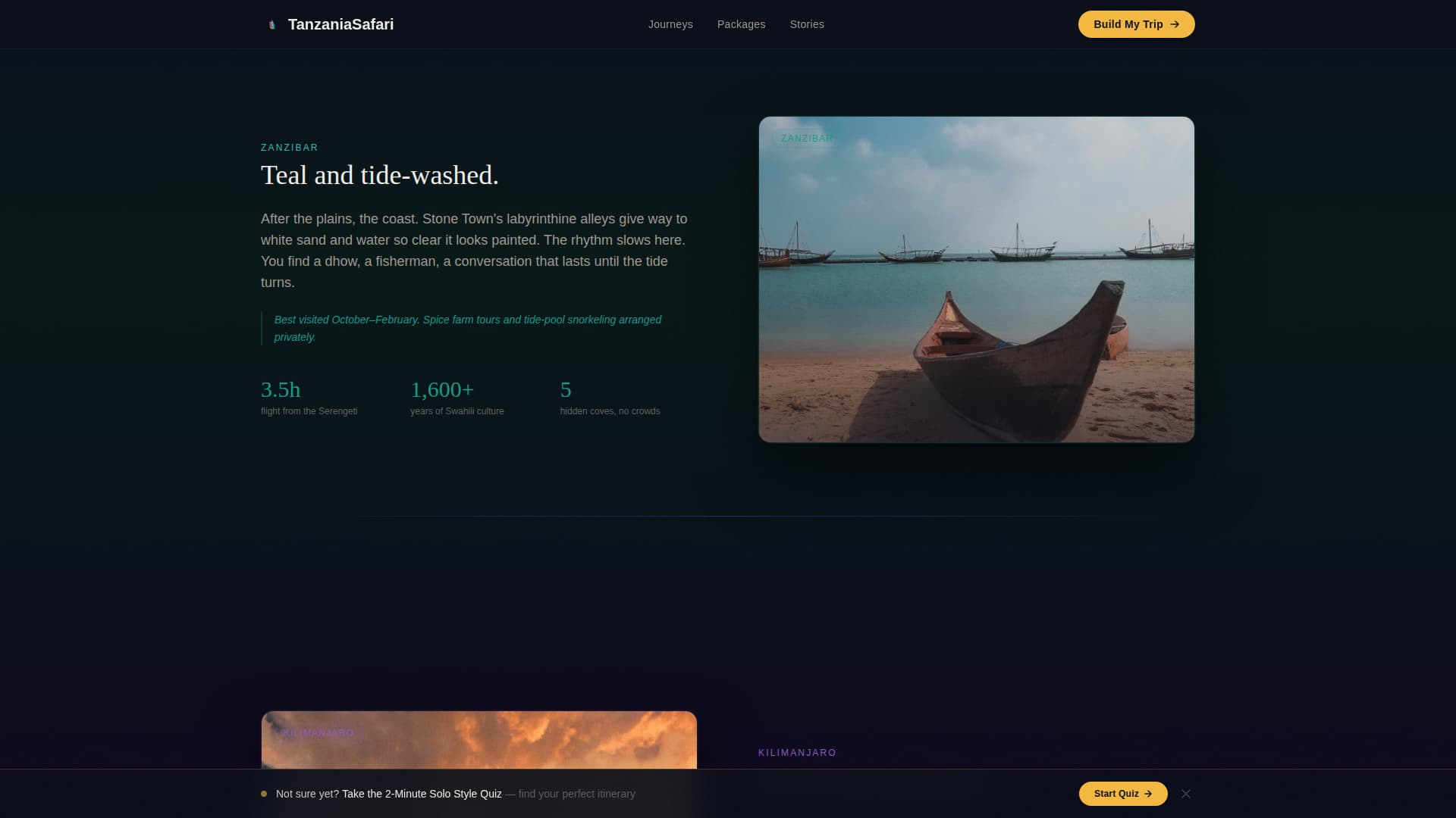 Tanzania Travel Pricing Website Template
