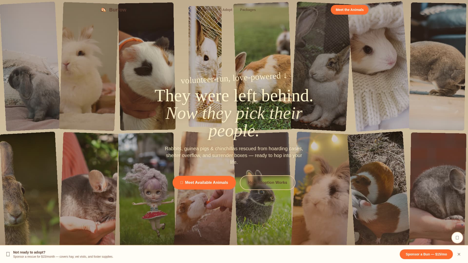 Rabbit & Small Animal Pricing Website Template