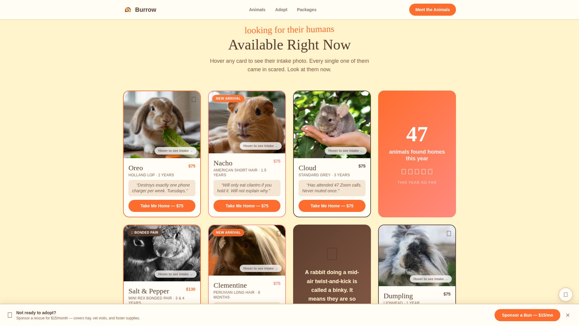Rabbit & Small Animal Pricing Website Template