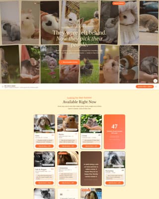 Rabbit & Small Animal Pricing Website Template