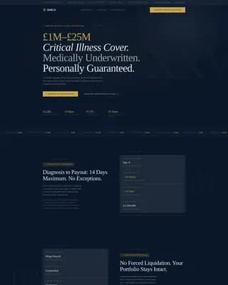 High Net Worth Individual Insurance Specialist Professional Website Template