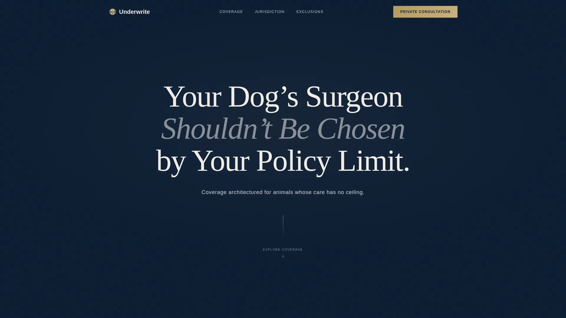 High Net Worth Individual Insurance Pricing Website Template