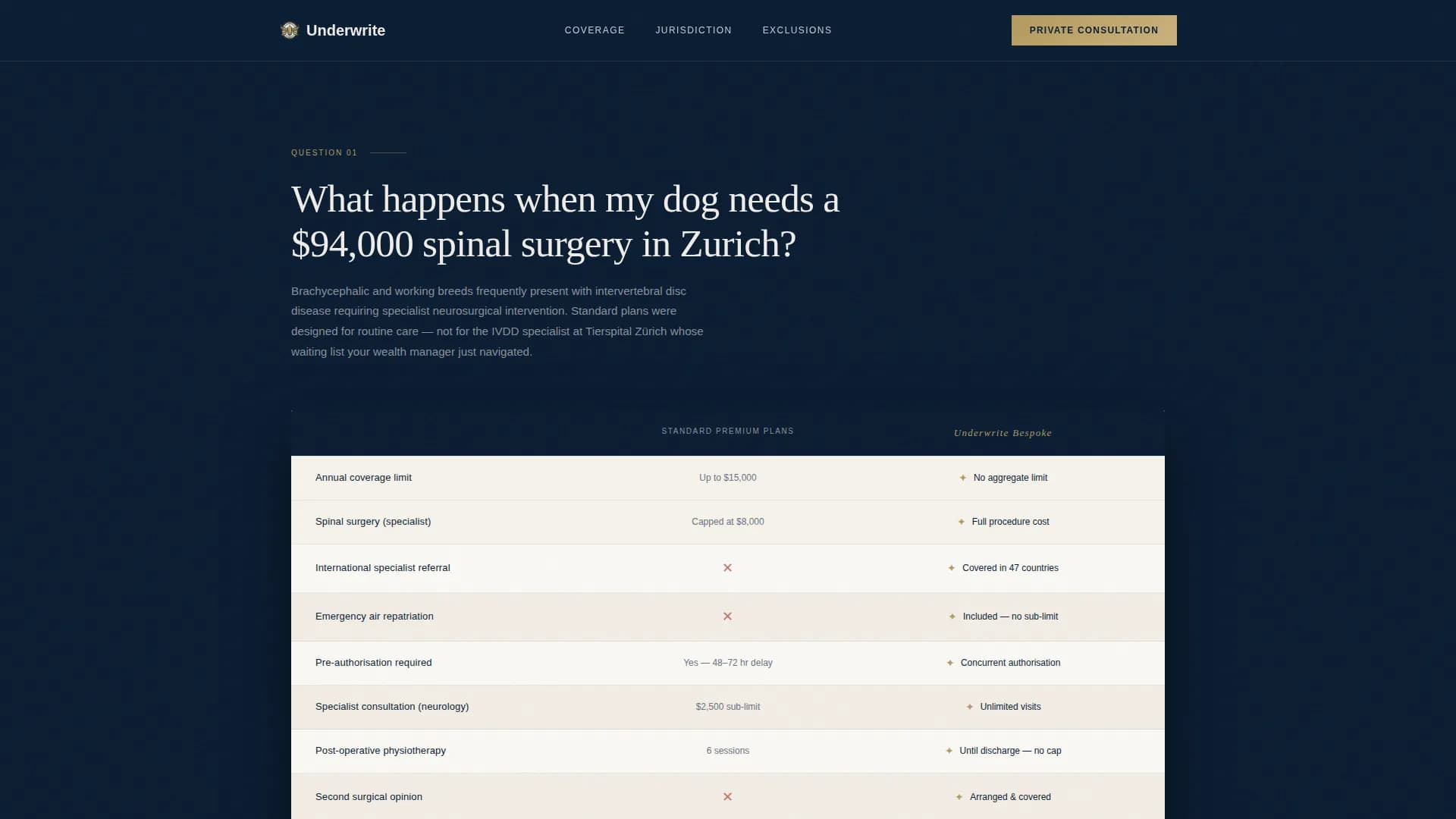 High Net Worth Individual Insurance Pricing Website Template