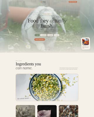 Rabbit & Small Animal Reviews Website Template