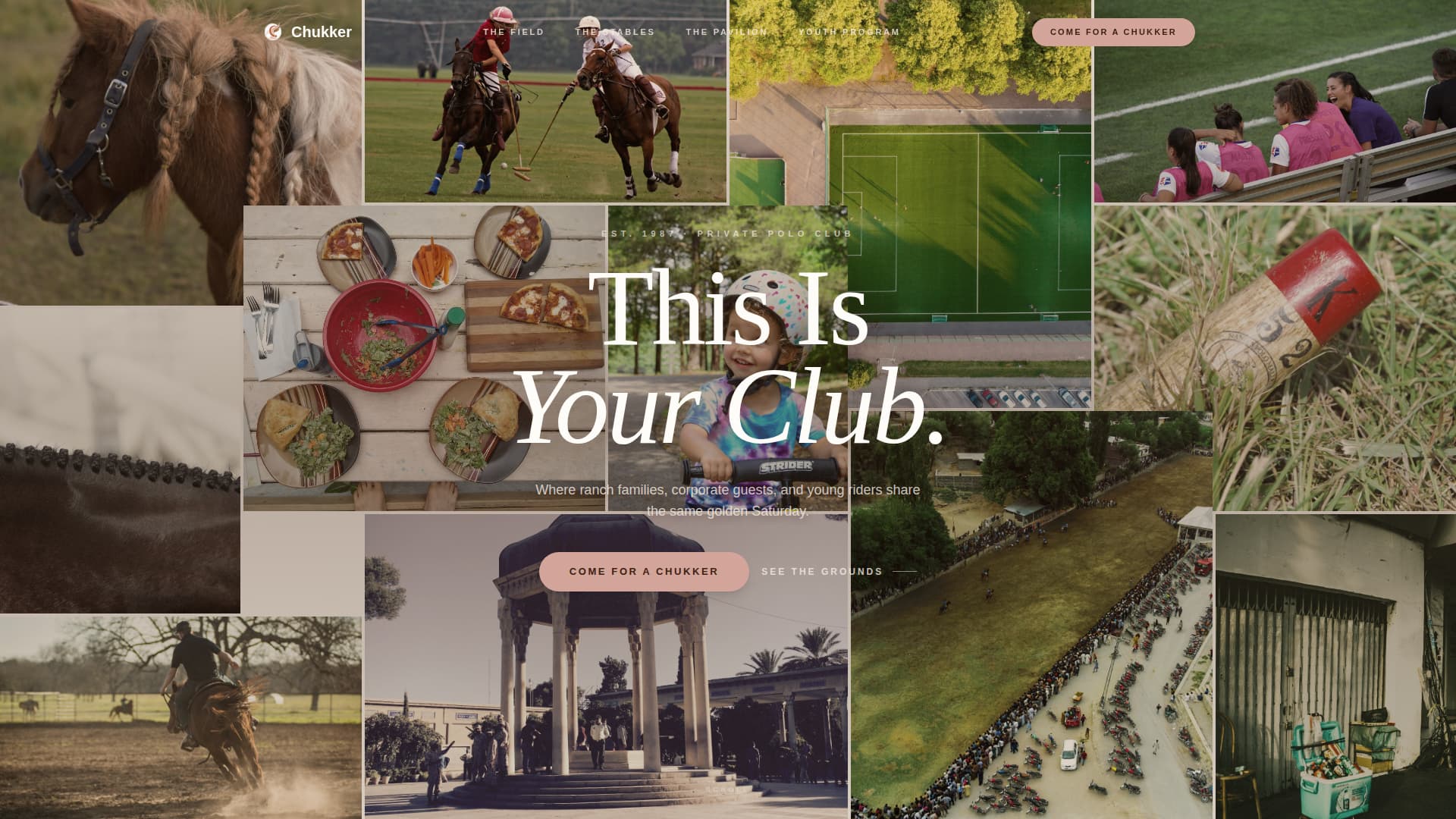 Horse & Equestrian Professional Website Template