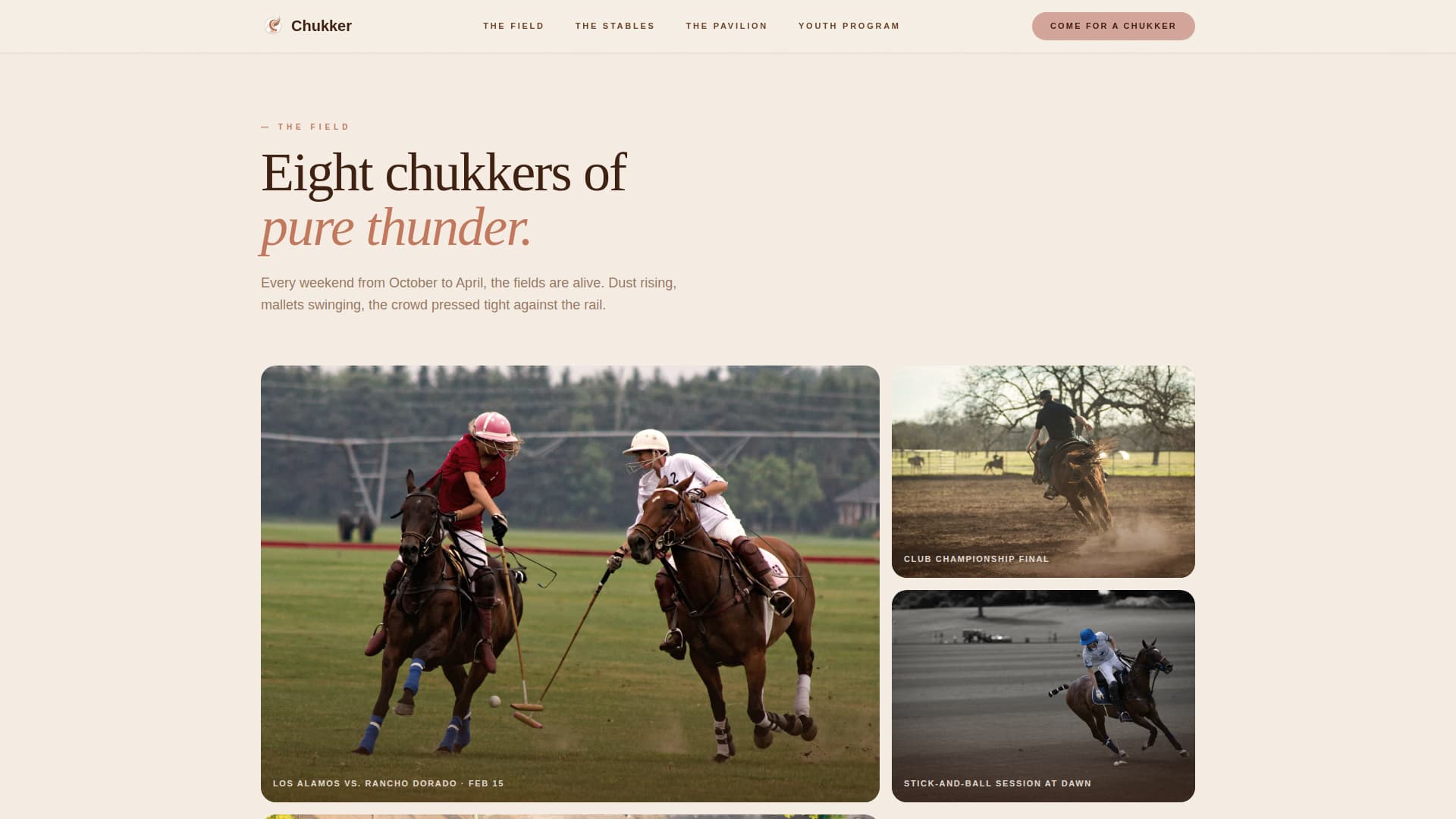 Horse & Equestrian Professional Website Template
