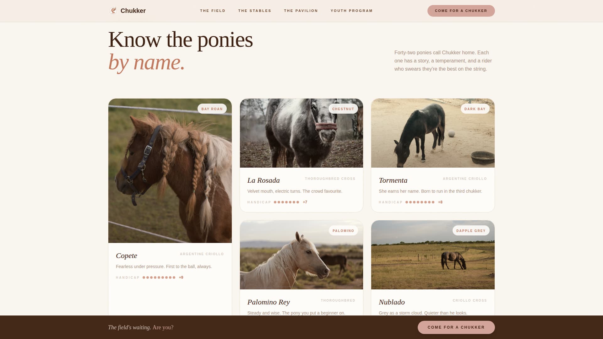 Horse & Equestrian Professional Website Template
