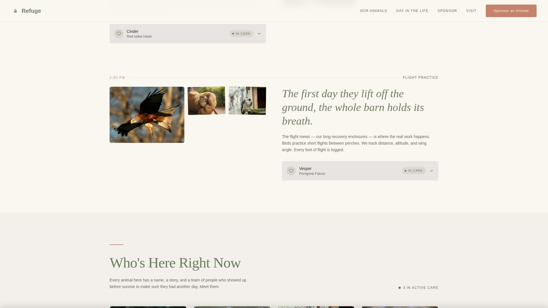 Pet Adoption & Rescue Professional Website Template