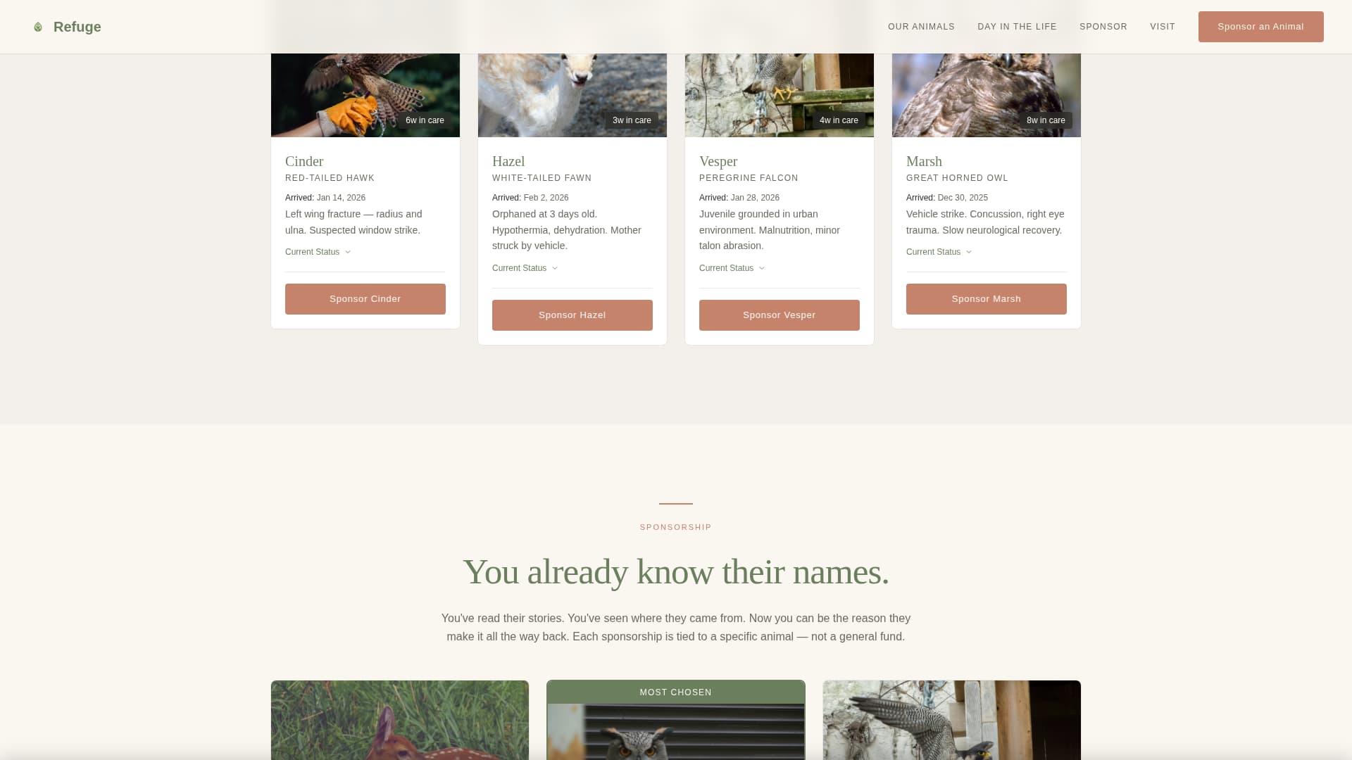 Pet Adoption & Rescue Professional Website Template