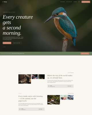 Pet Adoption & Rescue Professional Website Template