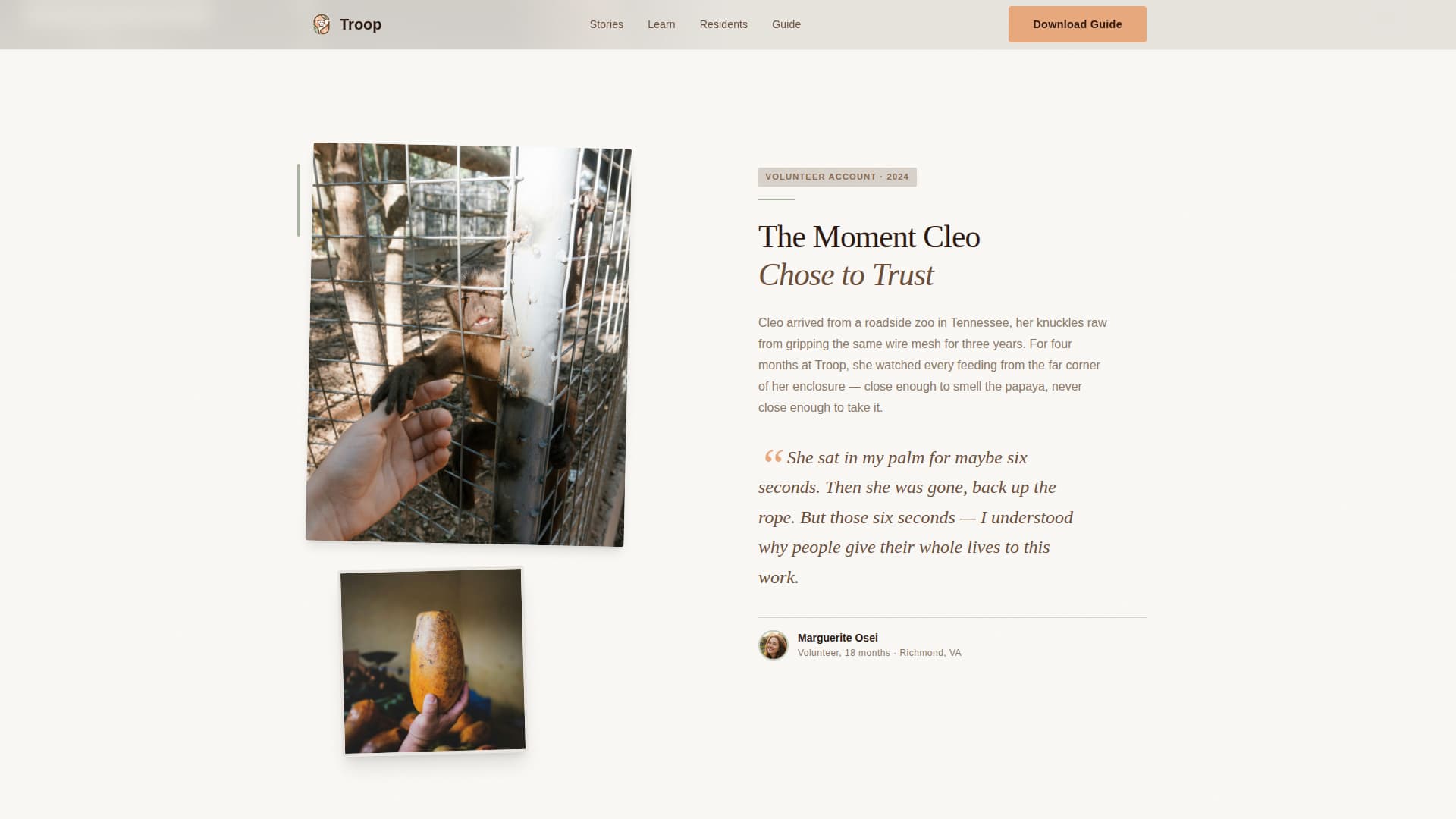 Troop - Heartfelt Sanctuary Landing Page Template