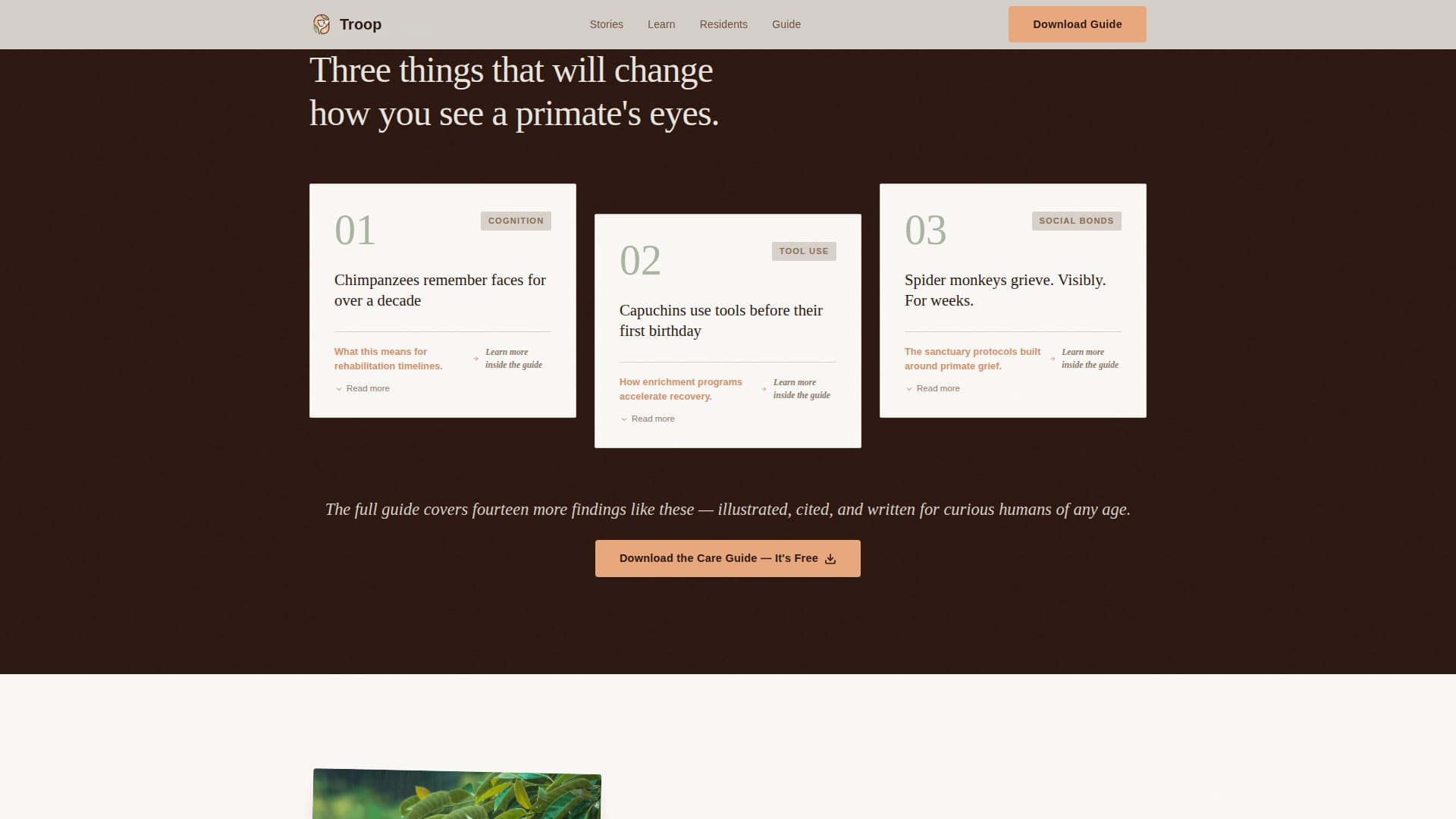 Troop - Heartfelt Sanctuary Landing Page Template