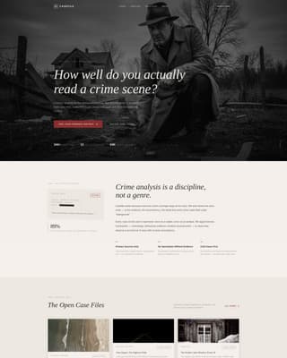 True Crime Analysis Content Blog Website Template