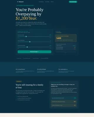 Analyze — Precision Coverage Audit Landing Page Template