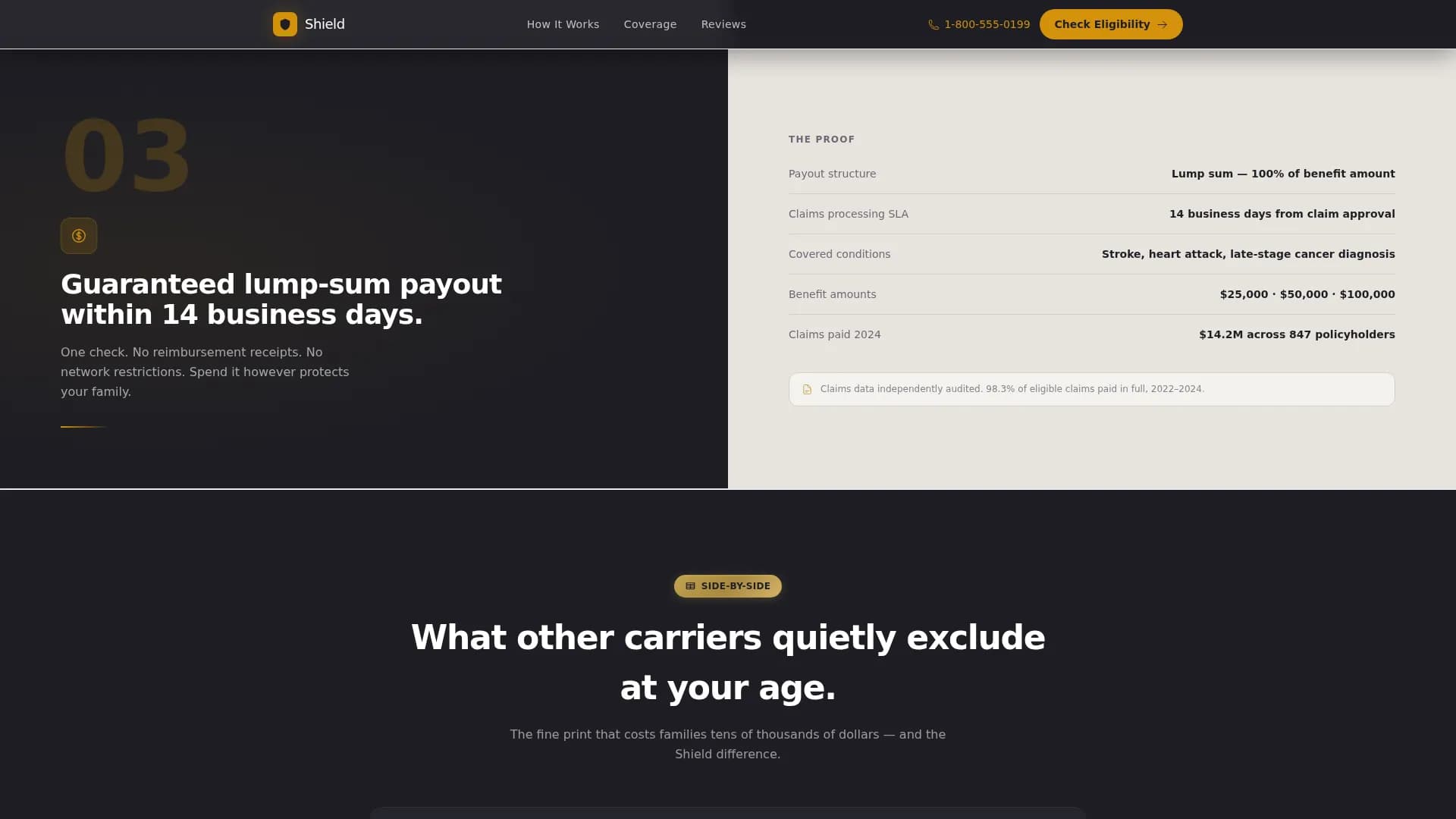 Senior (75+) Insurance Professional Website Template