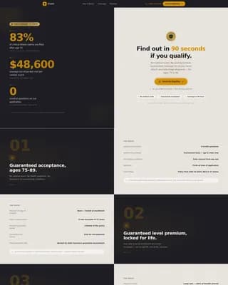 Senior (75+) Insurance Professional Website Template