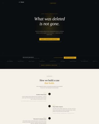Private Investigation Professional Website Template