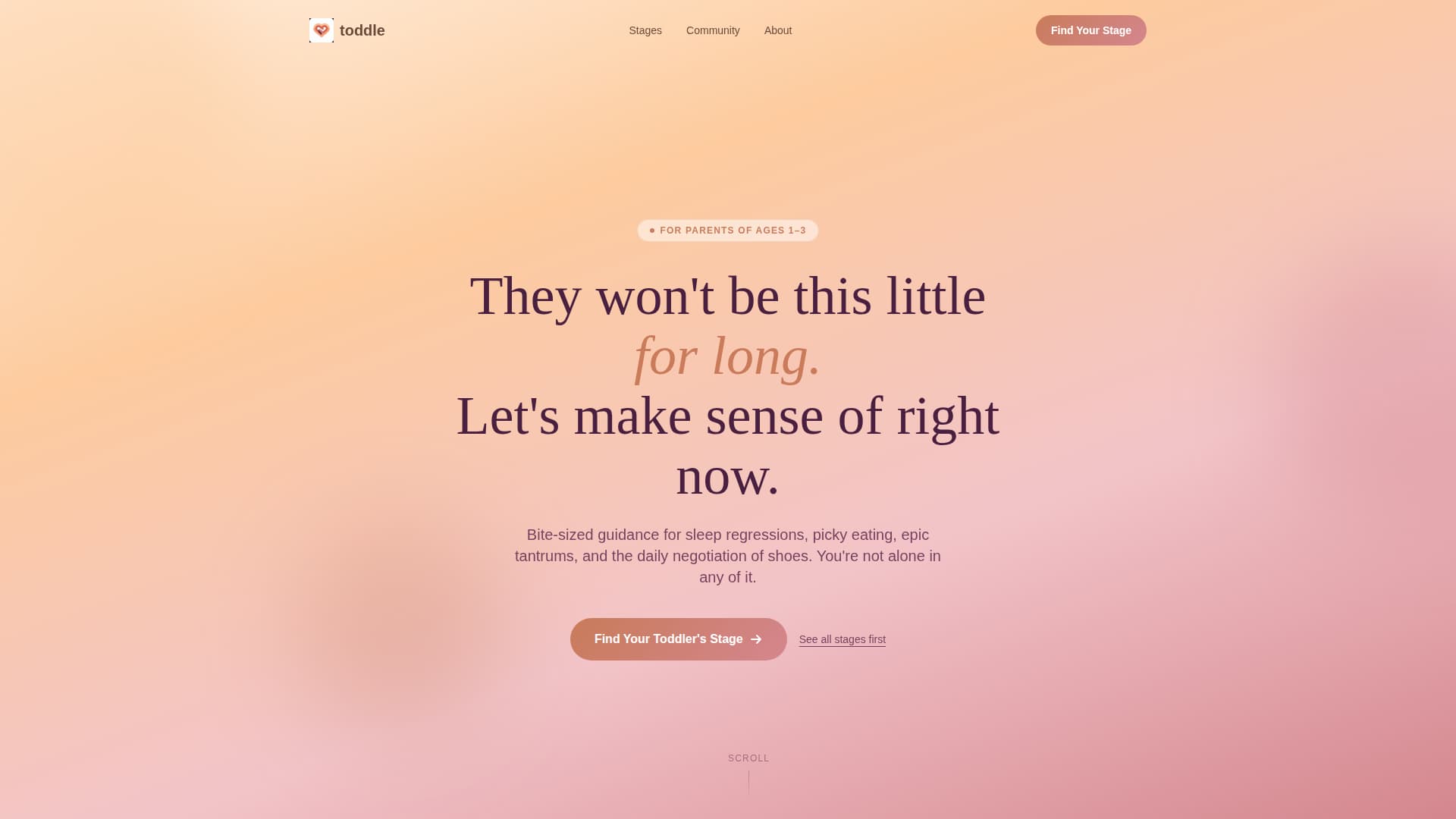 Toddler (1-3) Products & Reviews Website Template