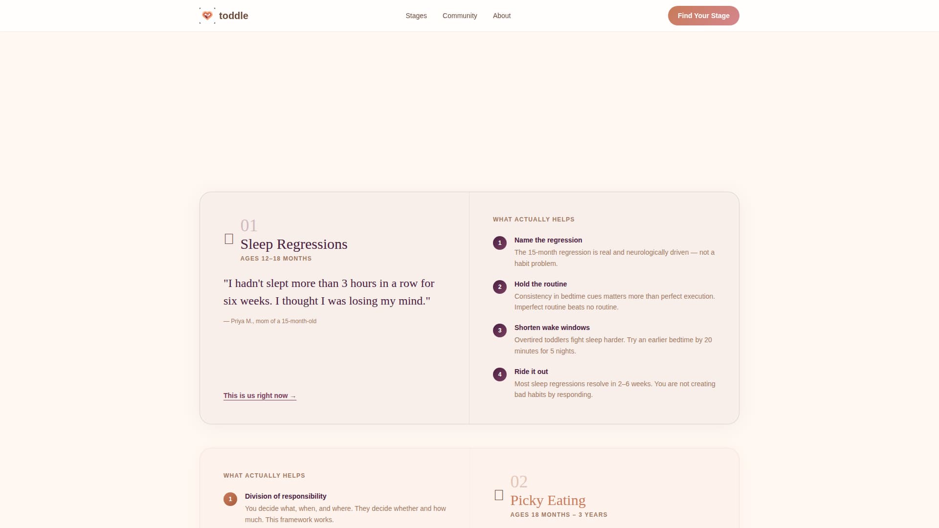 Toddler (1-3) Products & Reviews Website Template