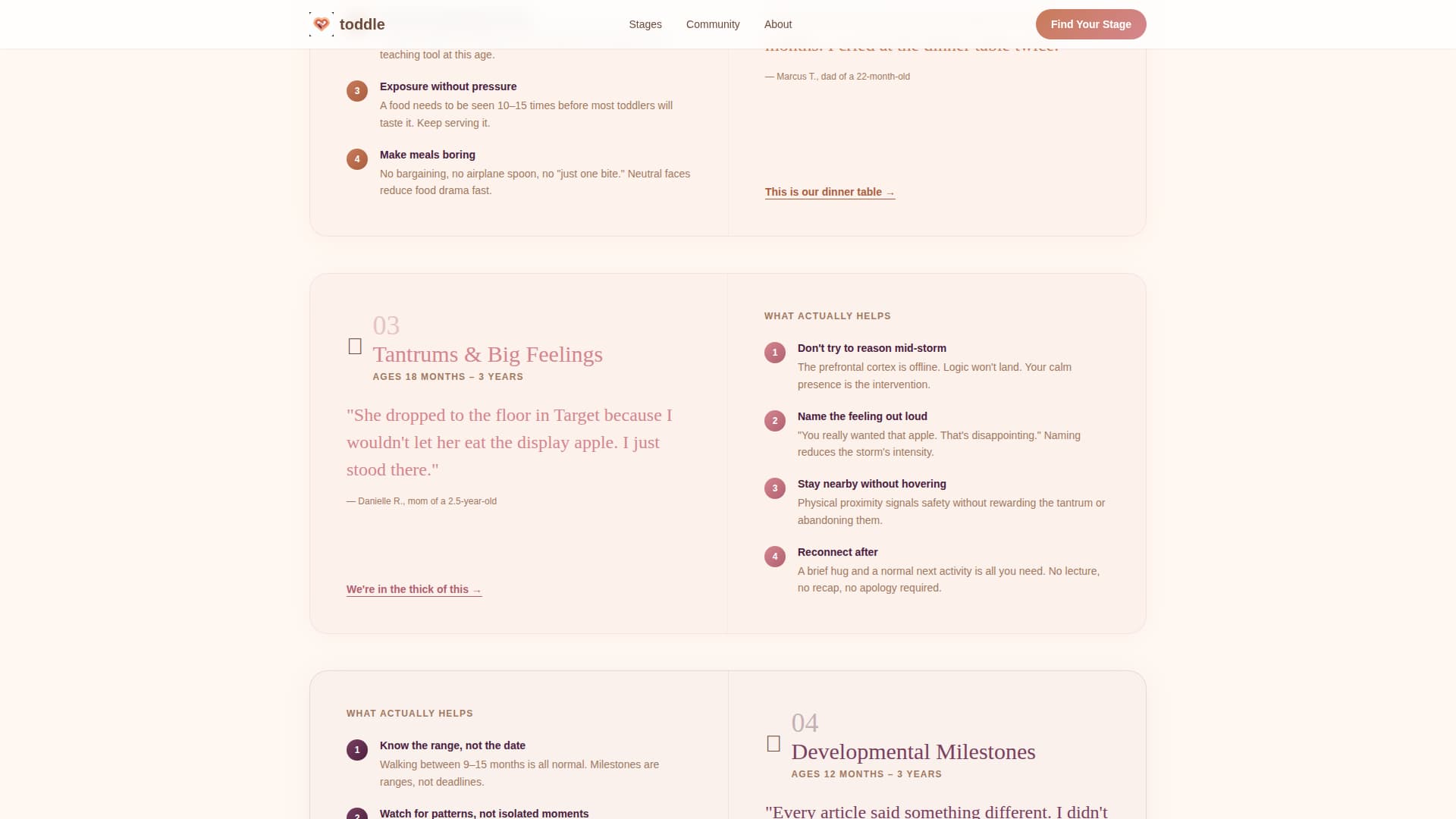 Toddler (1-3) Products & Reviews Website Template