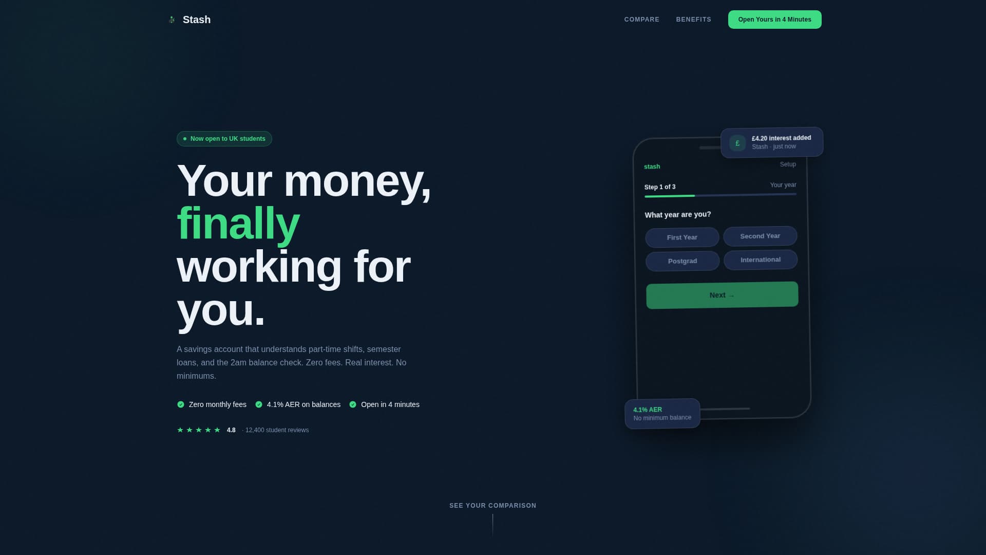 Student Finance Professional Website Template