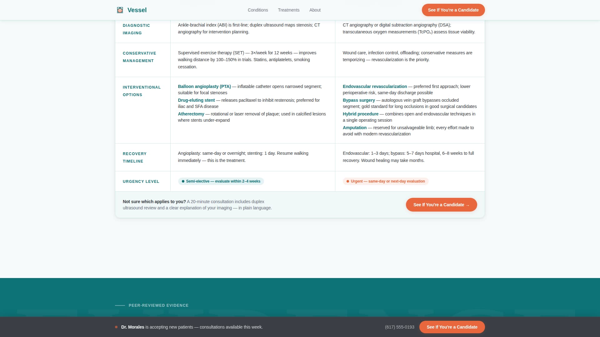 Vessel - Authoritative Vascular Landing Page Template