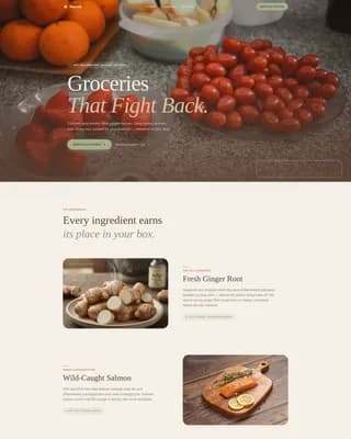 Harvest — Wholefood Grocery Delivery Landing Page Template
