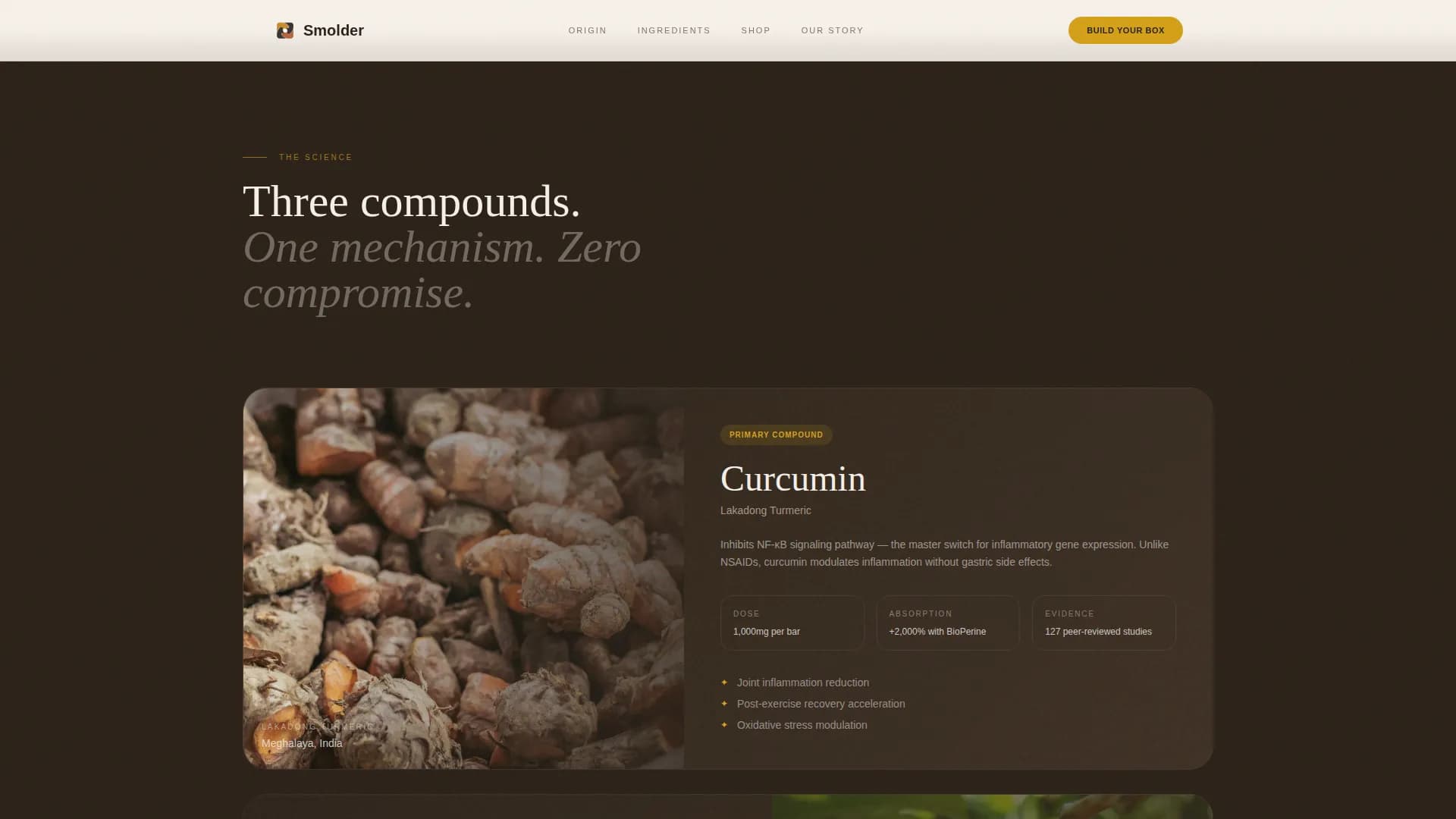 Smolder — Luxe Anti-Inflammatory Snack Brand Landing Page Template