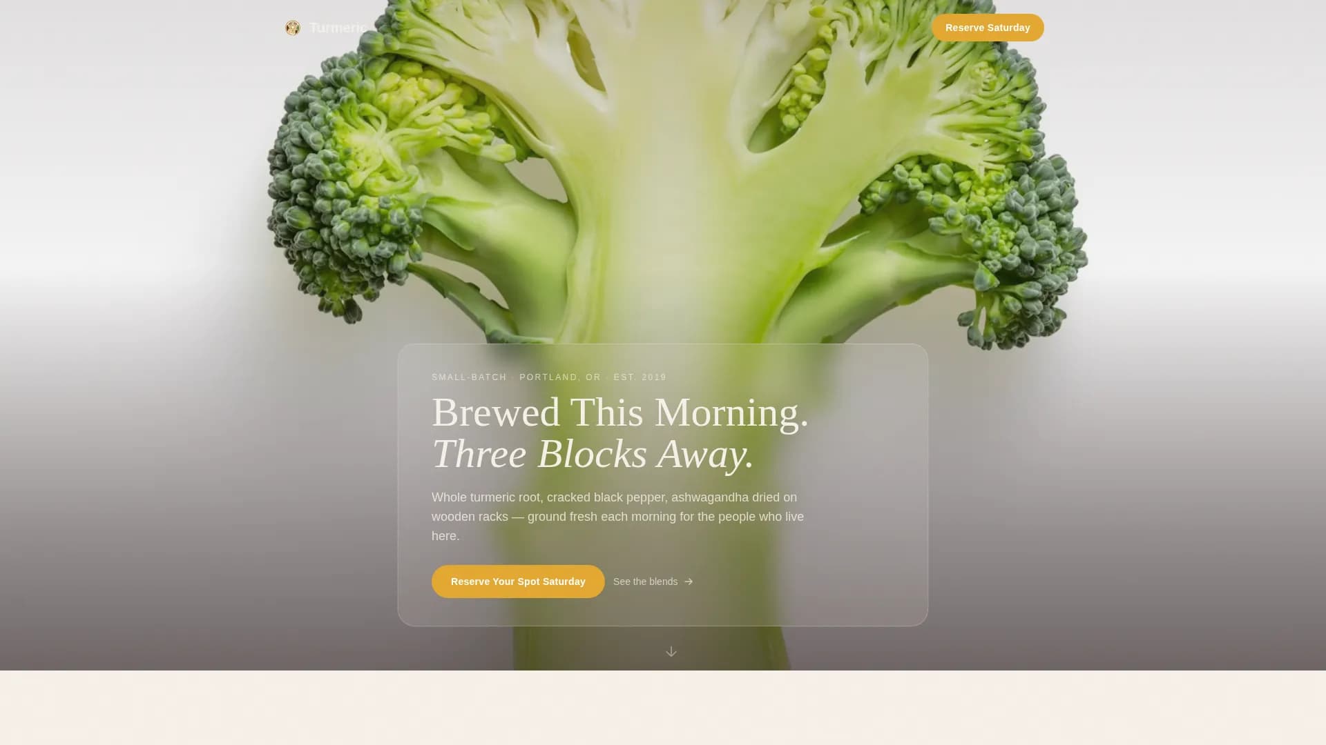 Turmeric — Supplement Marketplace Landing Page Template