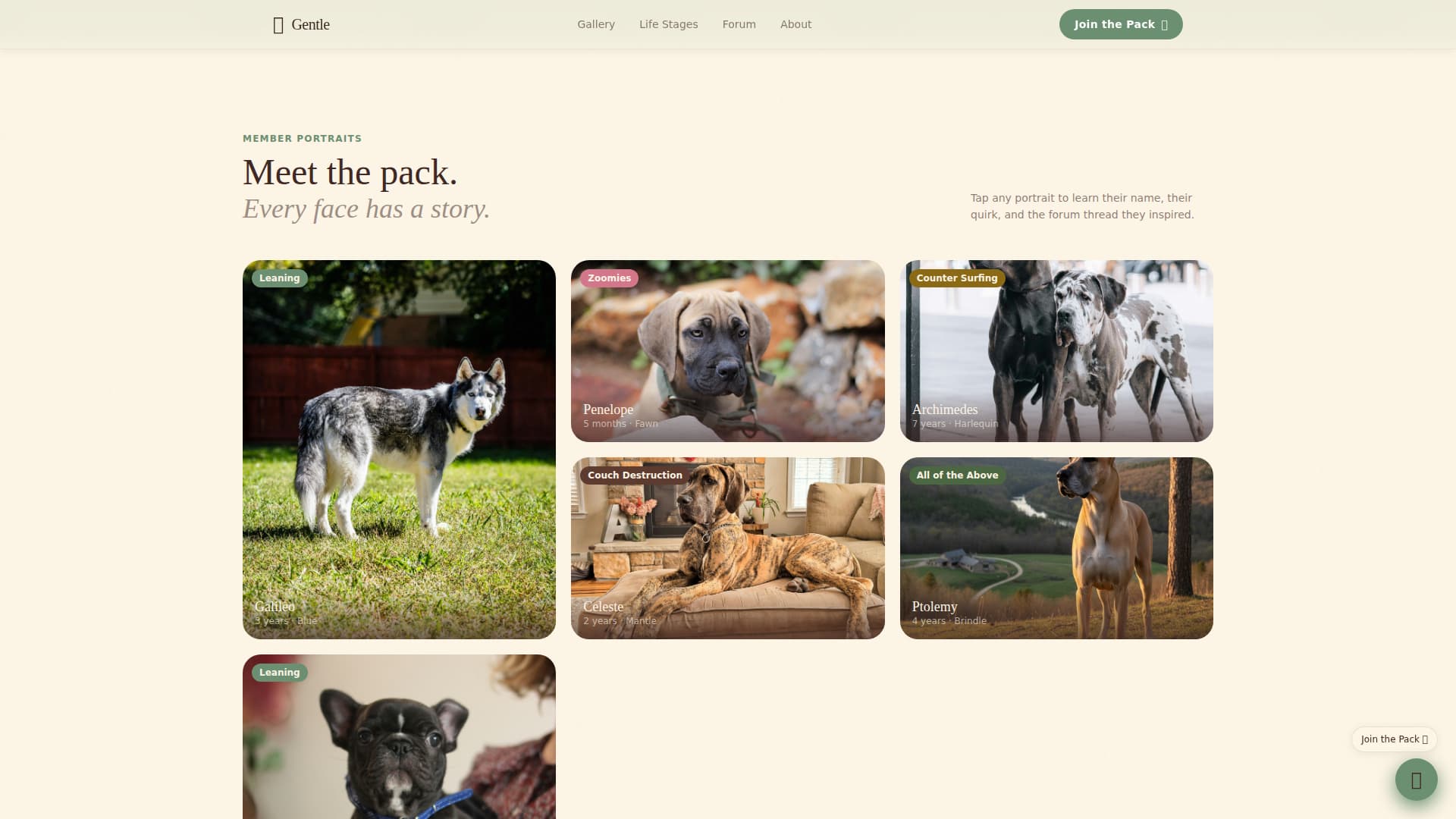 Great Dane Professional Website Template