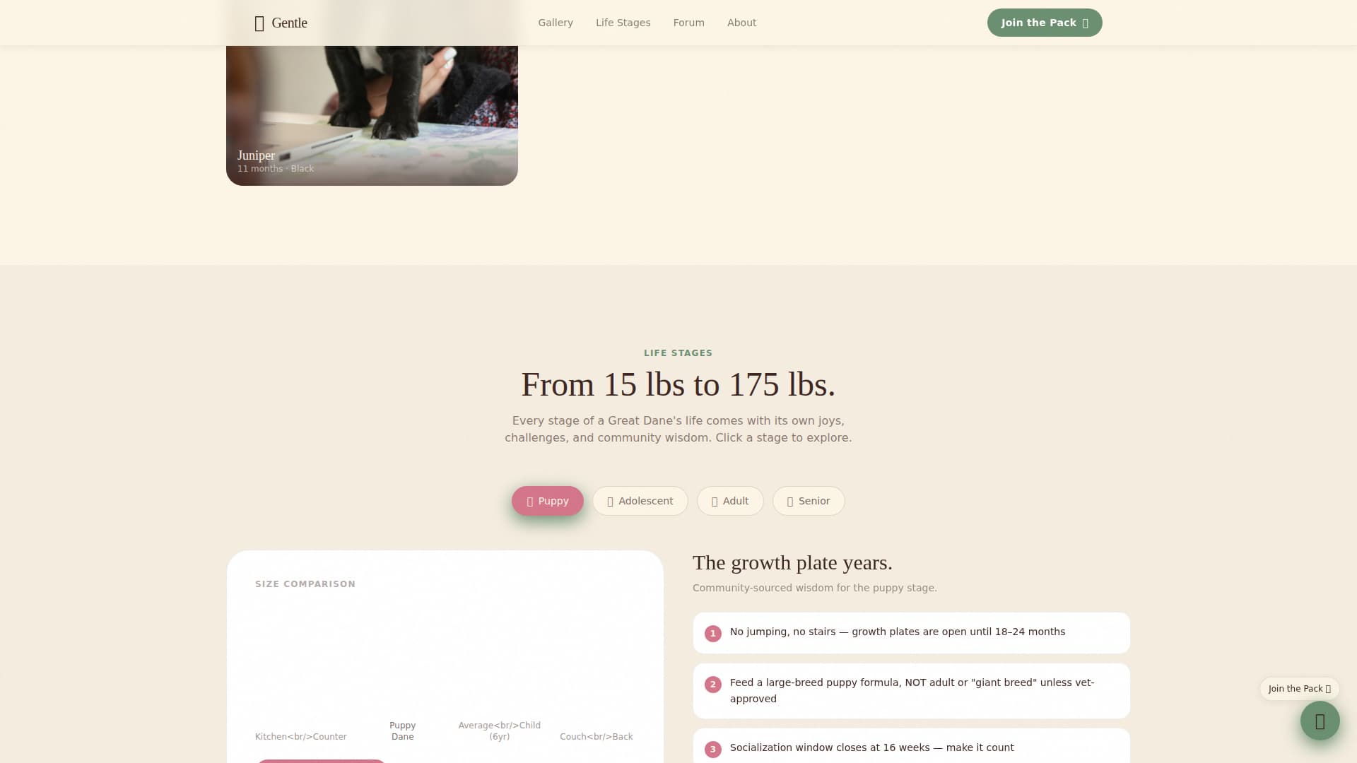 Great Dane Professional Website Template