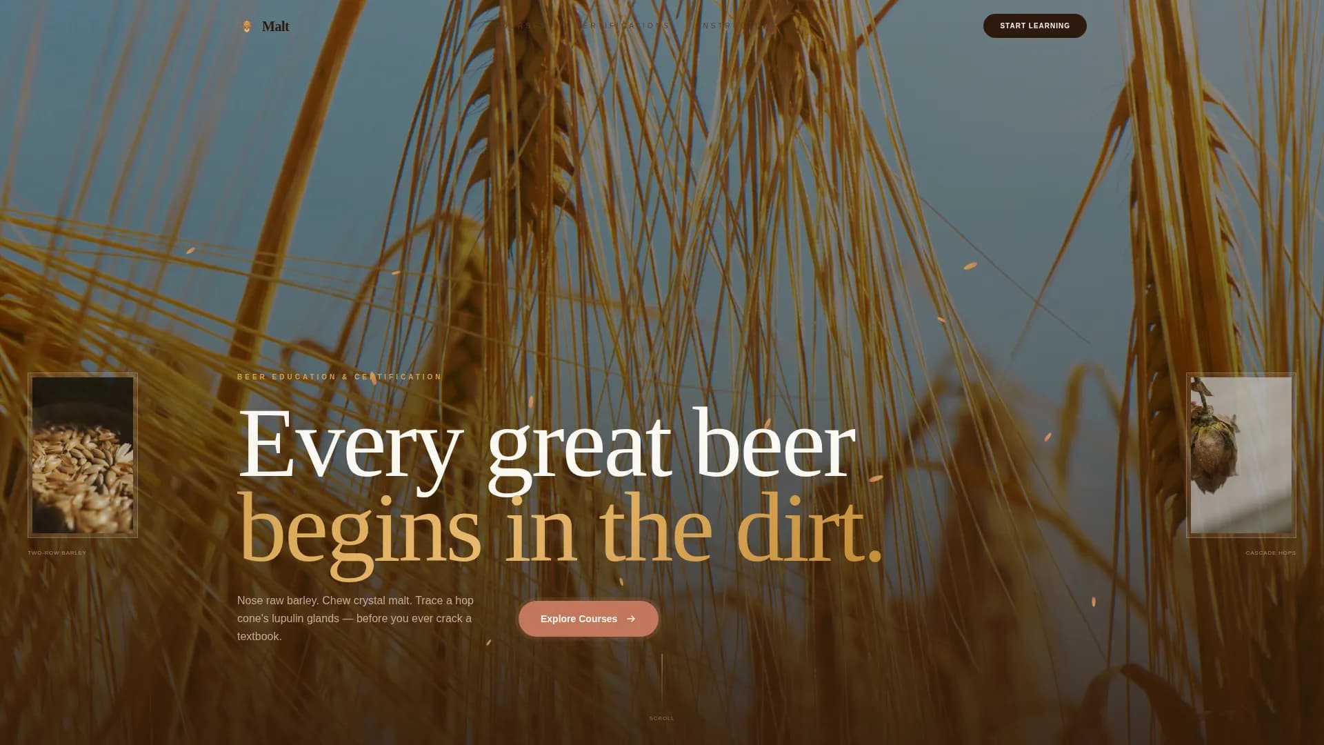 Grain — Expert Beer Education Landing Page Template
