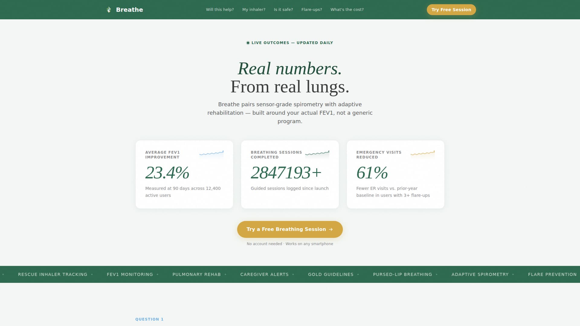 COPD Care FAQ Website Template