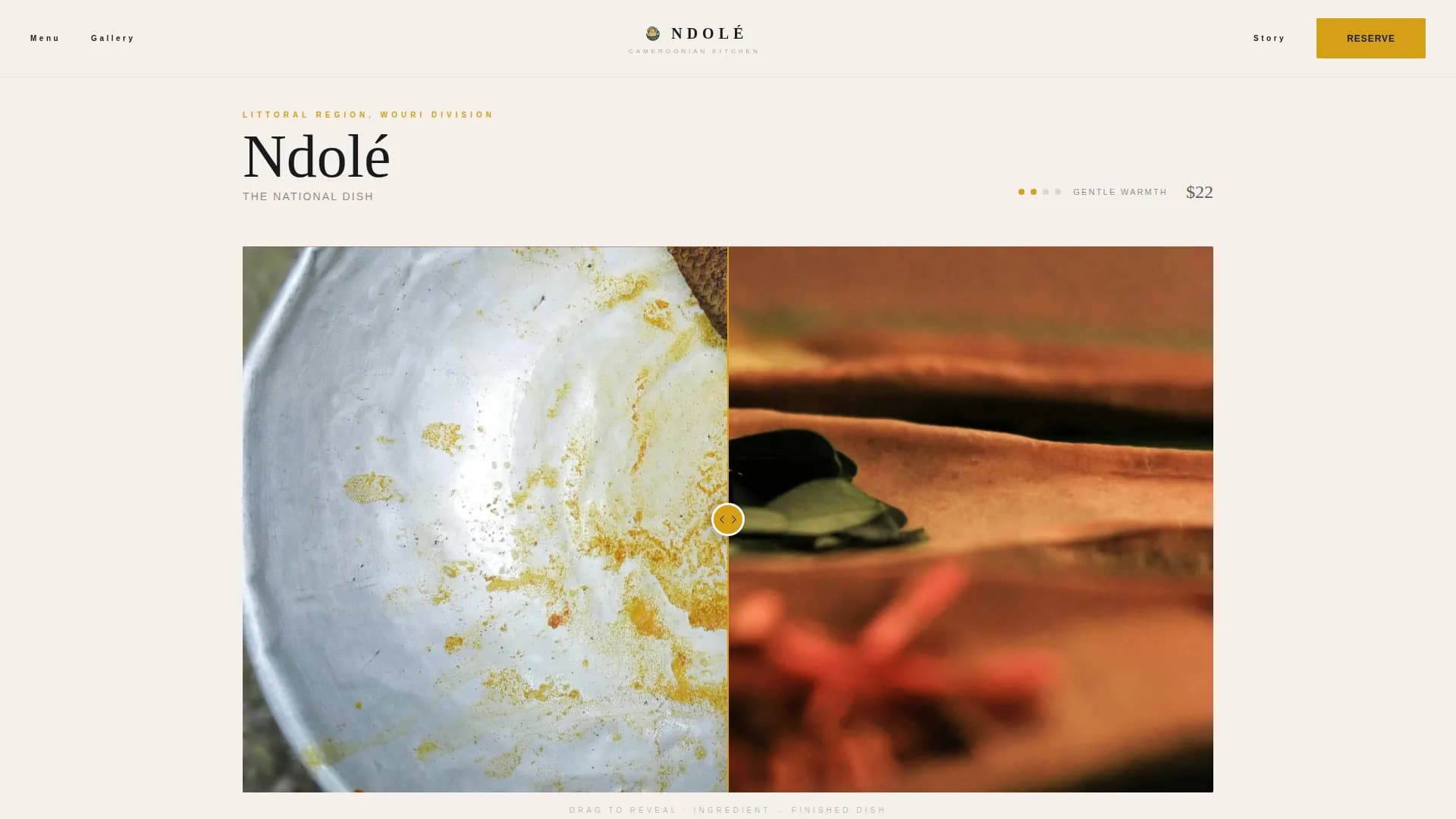 NDOL - Authentic Cameroonian Feast Gallery Landing Page Template