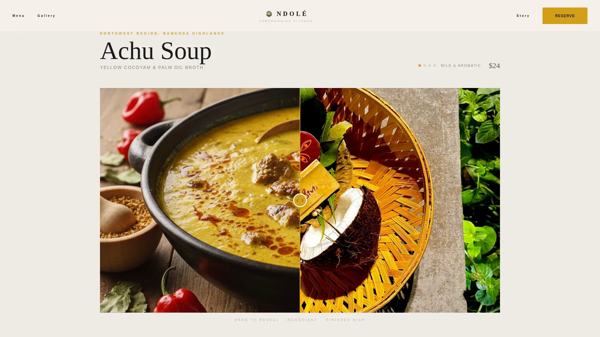 NDOL - Authentic Cameroonian Feast Gallery Landing Page Template