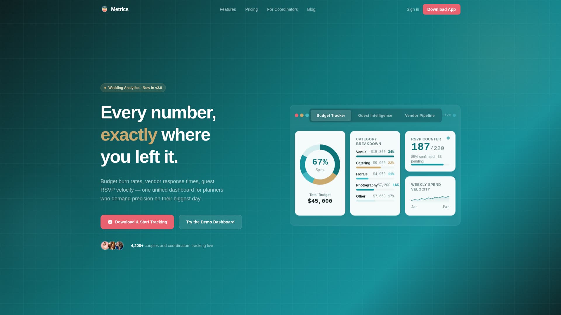 Wedding Software & SaaS Professional Website Template