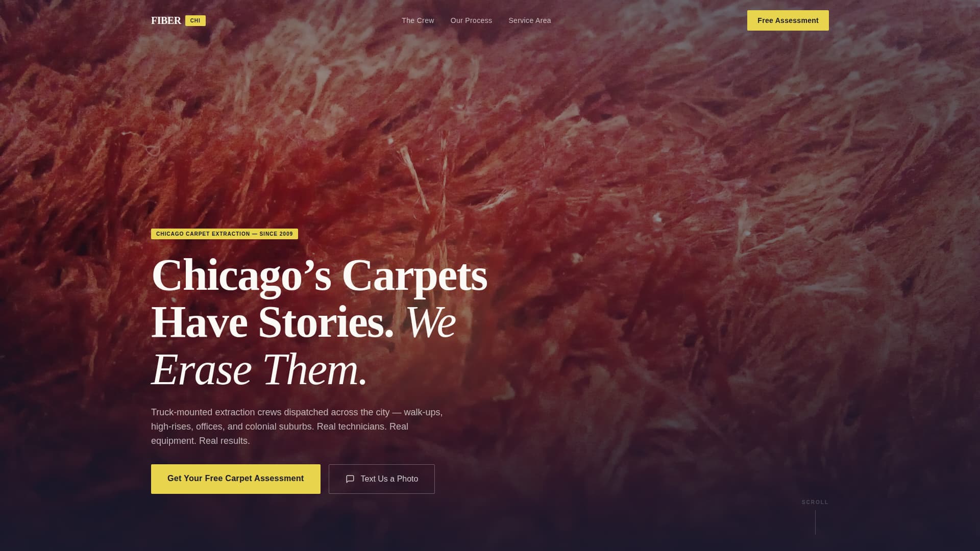 Fiber - Professional Carpetcleaning Landing Page Template