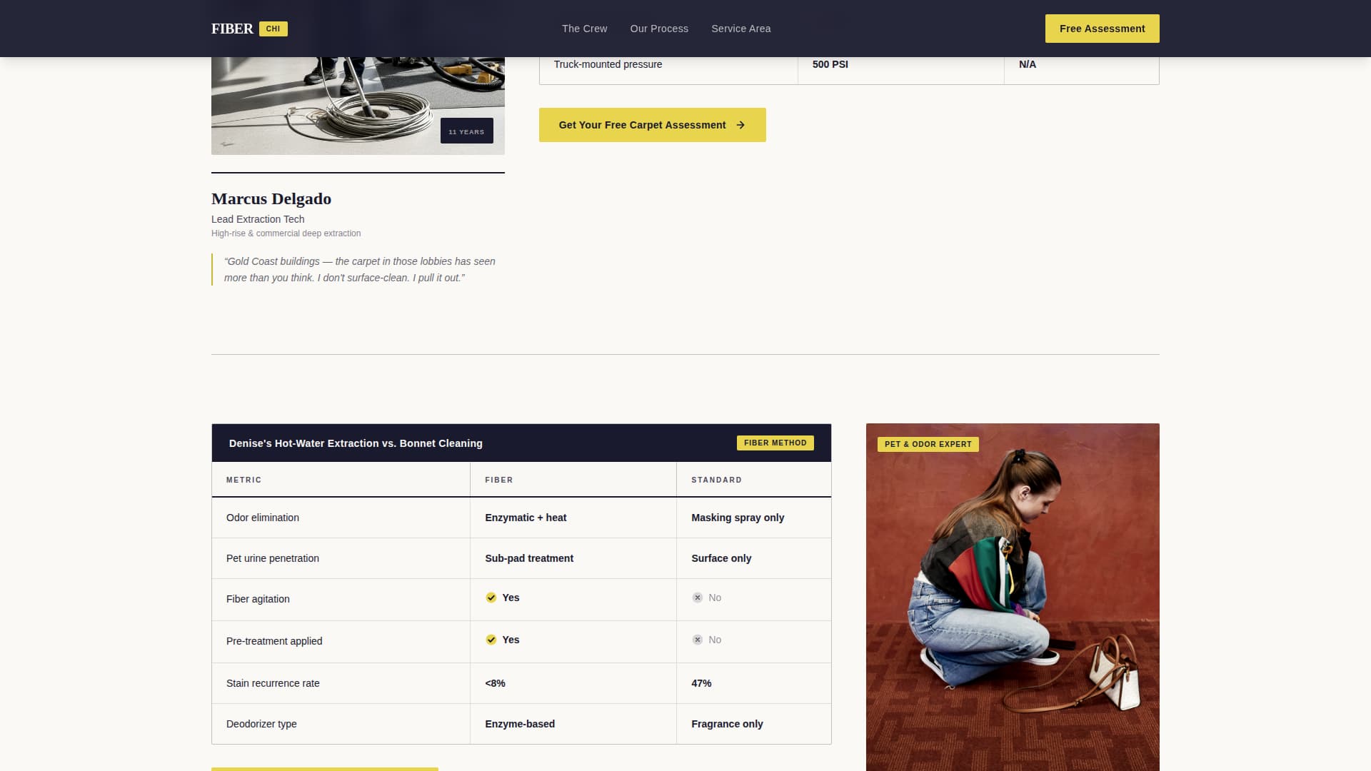 Fiber - Professional Carpetcleaning Landing Page Template