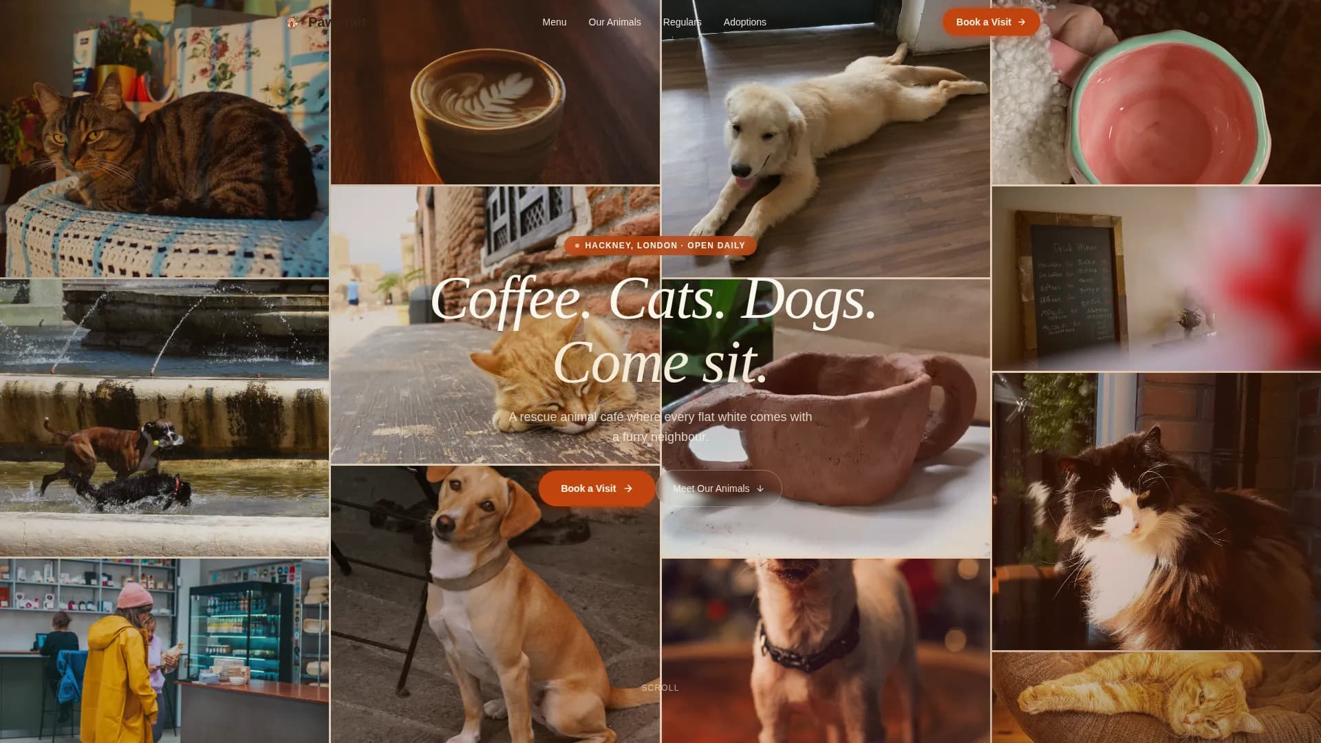 Rescue Animal Café & Adoption Experience Website Template