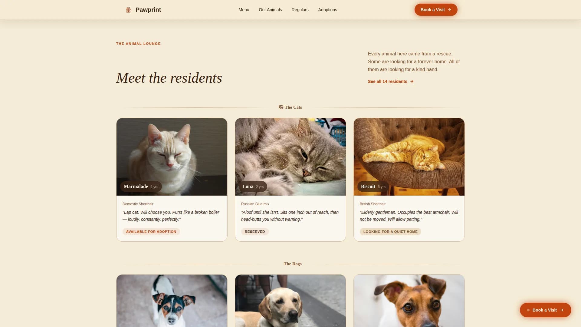 Rescue Animal Café & Adoption Experience Website Template