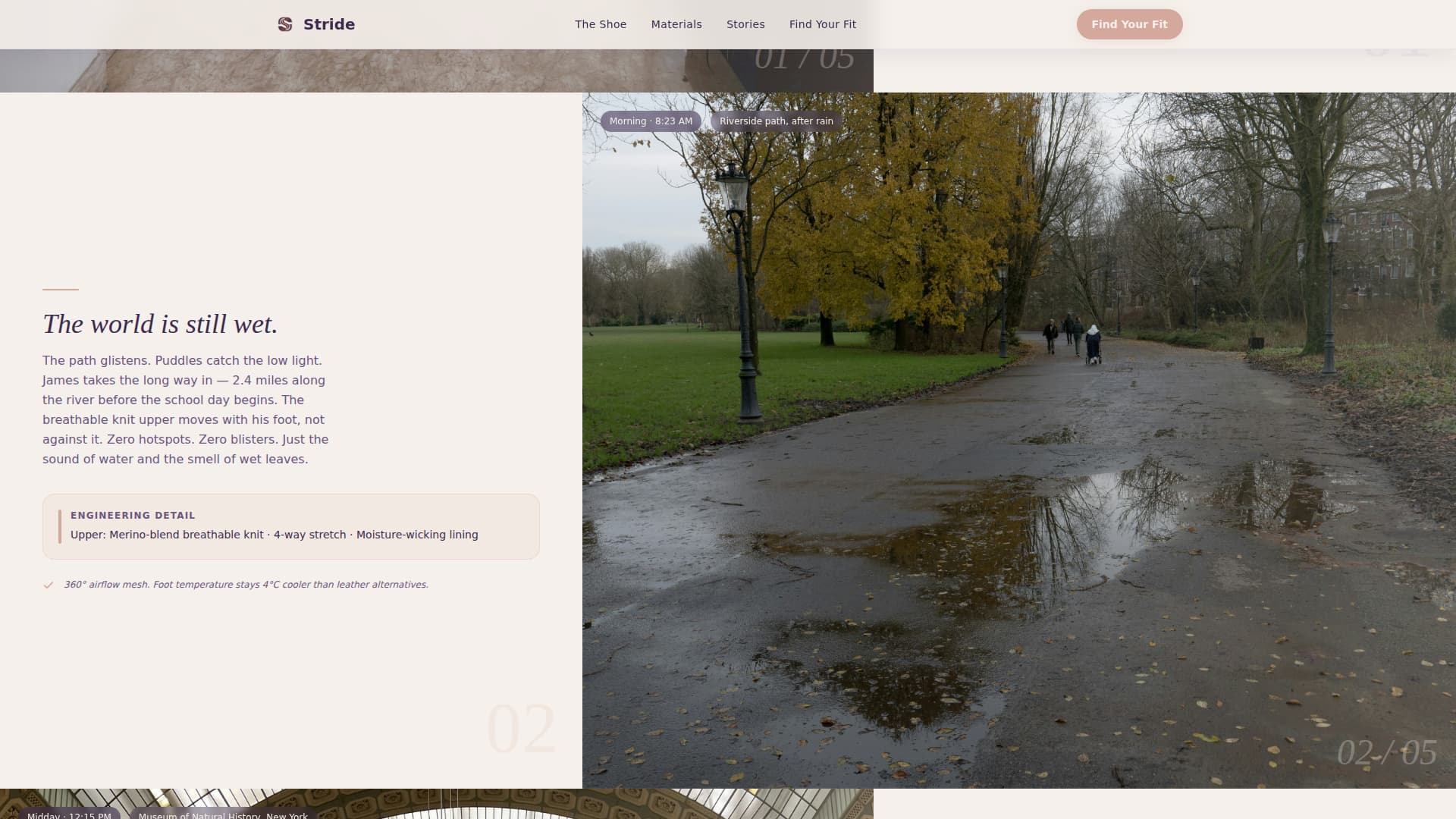 Footwear Brand Professional Website Template