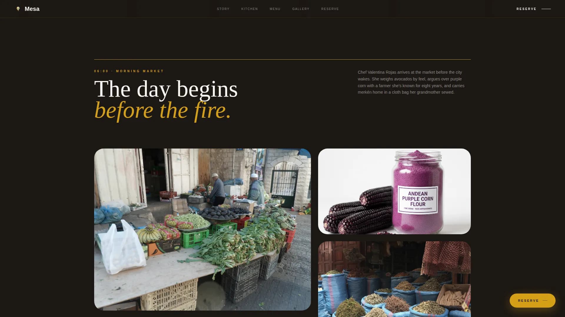 Chilean Cuisine Booking Website Template