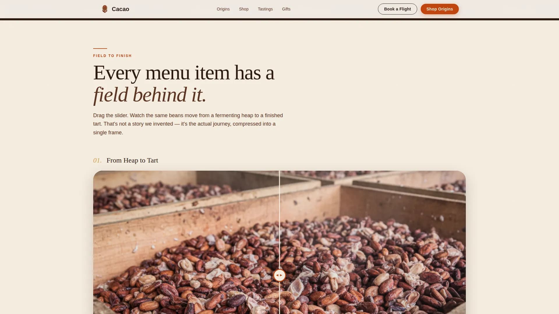 Chocolate & Confectionery Professional Website Template