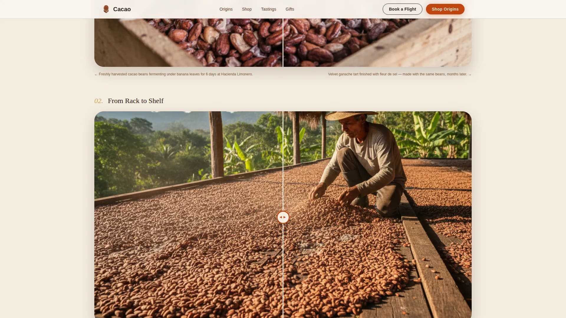 Chocolate & Confectionery Professional Website Template
