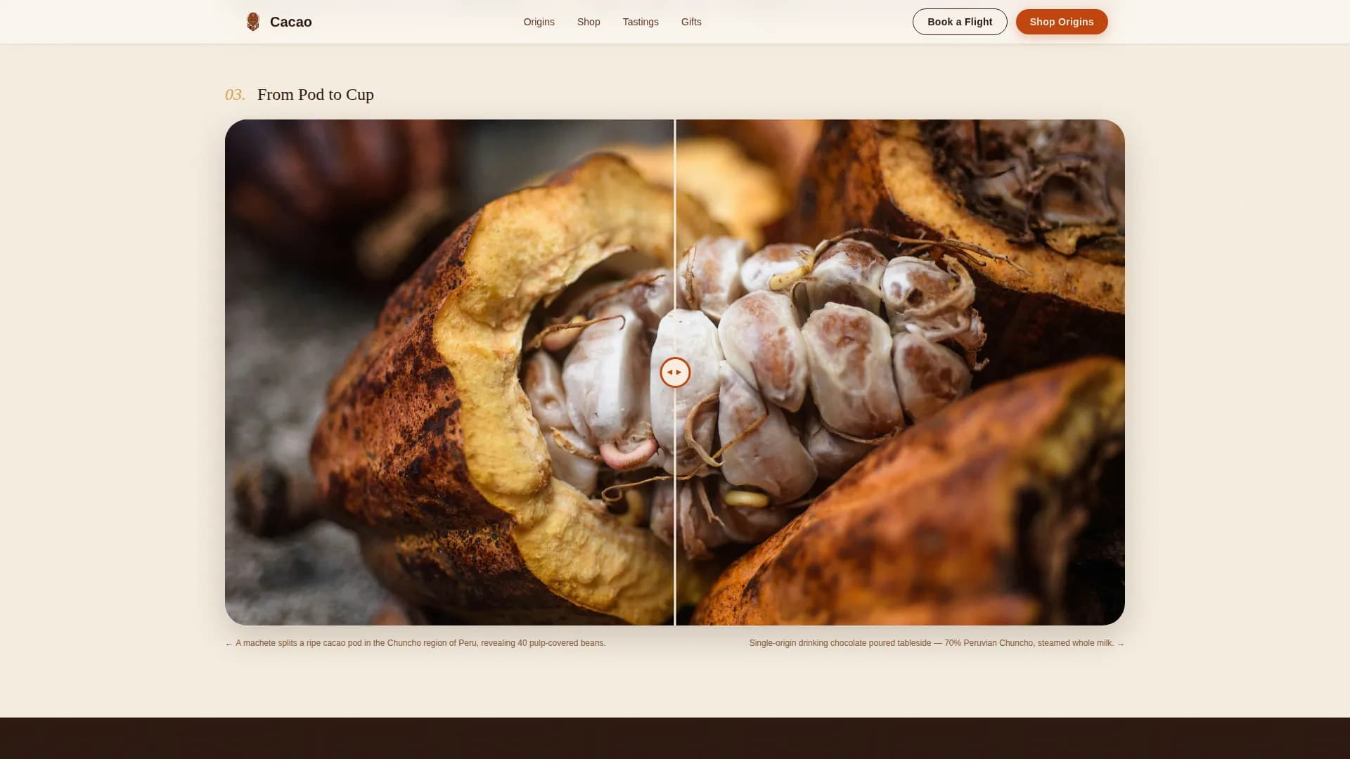 Chocolate & Confectionery Professional Website Template