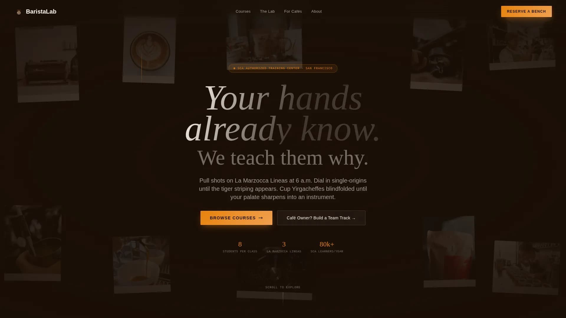 Coffee Roaster & Specialty Coffee Specialist Pricing Website Template