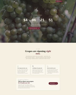 Hobby & Passion Supplies Specialist Professional Website Template