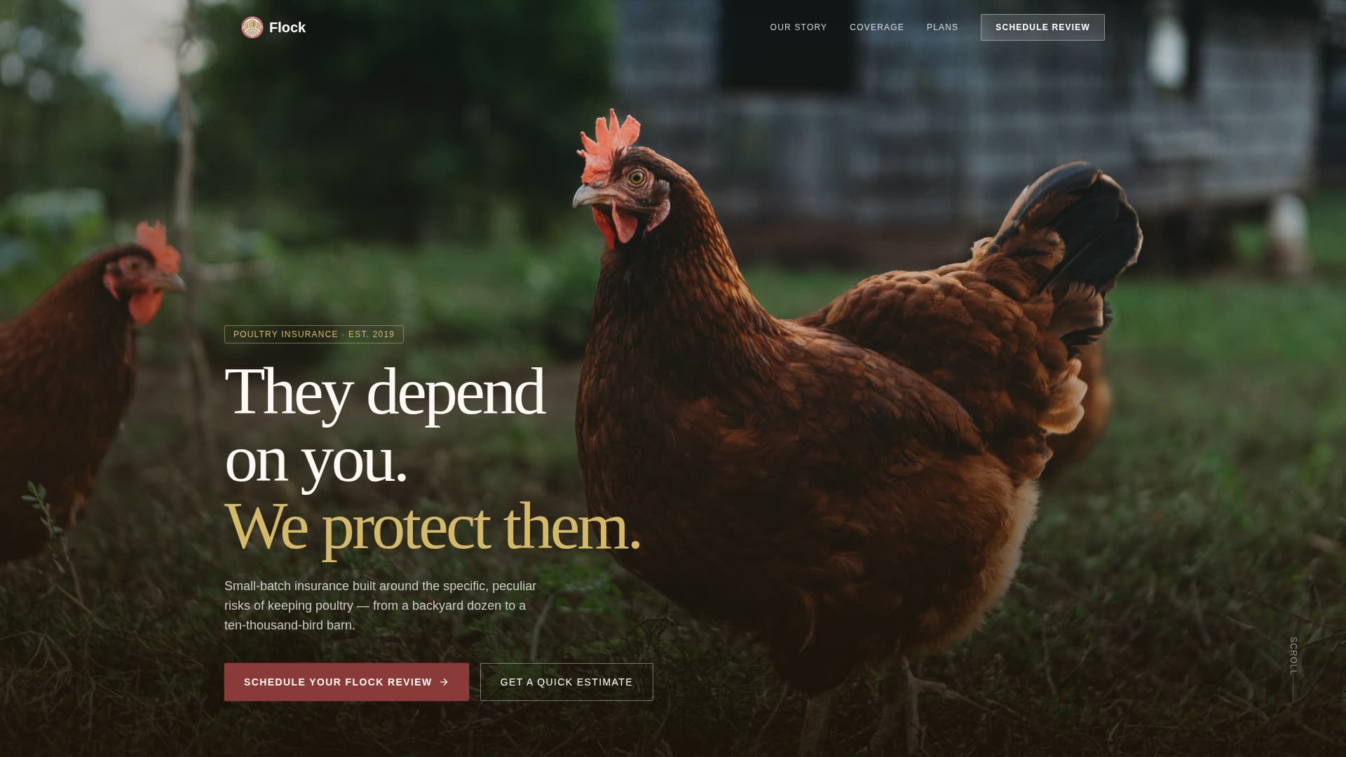 Chicken & Poultry Booking Website Template